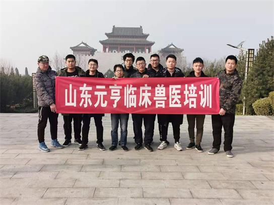 想當獸醫(yī)要學什么？   