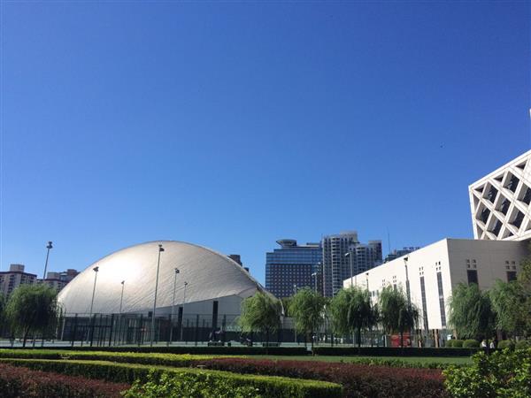 北京國(guó)際青年研修學(xué)院都開設(shè)哪些專業(yè)？